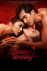 Nonton Film Bridge of Destiny (2020) Sub Indo